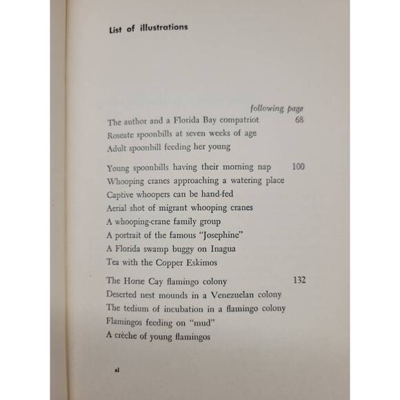 Vintage On the Trail of Vanishing Birds, Robert Porter Allen Hardcover Book 1957 - Picture 6 of 7